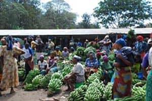 Picture of A banana market in Tanzania (Photo by Brita D. Jensen)