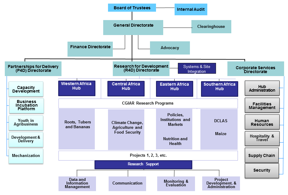 Bibliography For Natural Disaster Project Bibliography For Natural Disaster Project