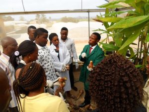 Picture of Joshua, a n IITA Youth Agripreneur (wearing a green lab coat), explaining about the rapid propagation technique for banana  and plantain to young visitors.