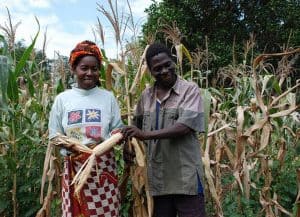 Picture of a farmer that uses drought tolerant maize variety.