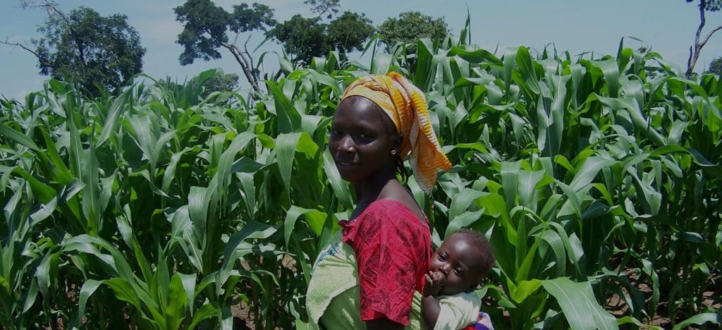 Picture of woman farmer in maize field.
