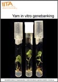 Thumbnail of Yam in vitro genebanking