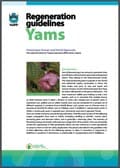 Thumbnail of Yam regeneration guidelines