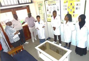Picture of Charity Mutegi gives an update on ongoing work on aflatoxin management in Kenya and East Africa