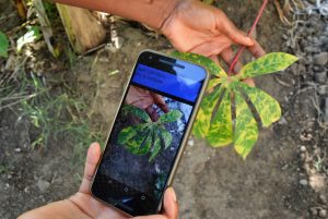 Picture of mobile phone being used in the field