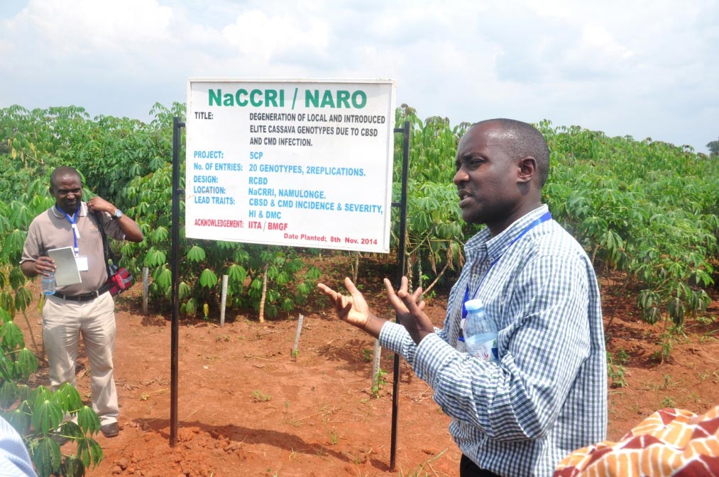 Picture of Robert Kawuki of Uganda explains 5CP work in the country during the team meeting.