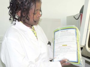 Picture of IITA researchers shows the packed aflasafeTZ product