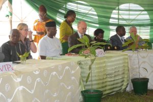 Picture of IITA Management and dignitaries during the opening program of the Forest Unit Open Day.