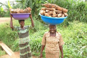 Picture of women with cassava
