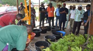Picture of Dr Agogbua (far right) explains the process of Banana seed extraction as DG listens with keen interest