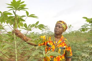 Picture of Elizabeth Parkes, HarvestPlus Cassava Breeder