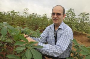 Picture of Peter Kulakow, Cassava Breeder / Geneticist