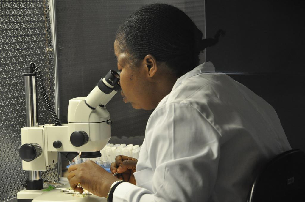 Technician examining specimen under electron microscope in Resources Center, GRC in IITA