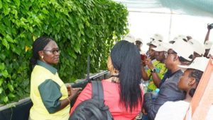 Picture of Beatrice Aighewi, YIIFSWA-II Seed Specialist, talking to the participants during the tour