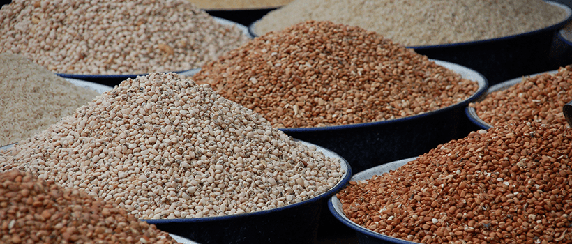 A selection of cowpea varieties.