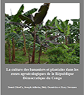 Démocratique-du-Congo