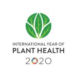 International Year of Plant Health 2020