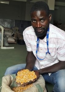 IITA-BIP sets record for maize production per hectare in Nigeria