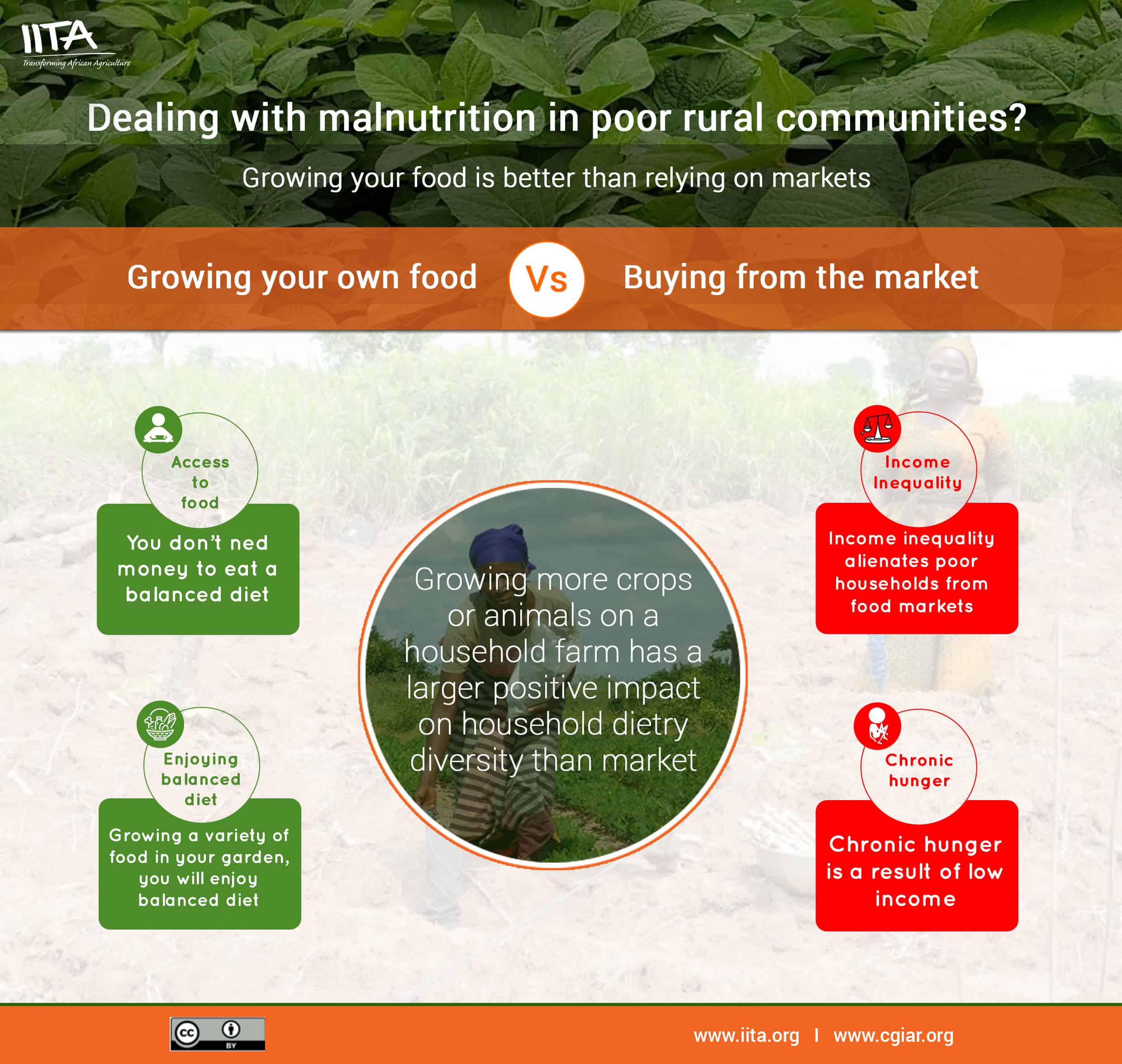 Study finds that growing own food is better than relying on markets