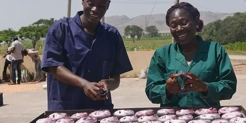 A practical session for youths learning about catfish processing at the agribusiness incubation center