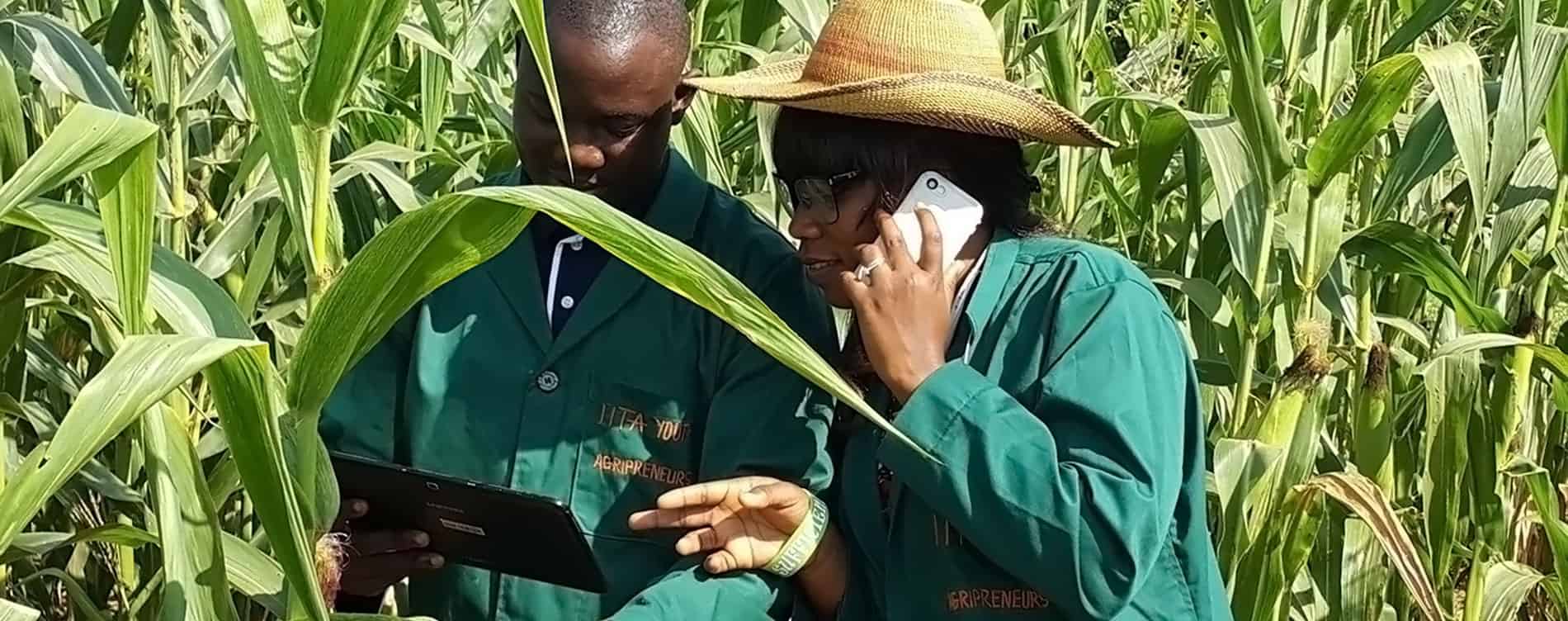 Agribusiness made easy through the use of ICT