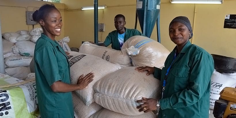 Some young agripreneurs ready to move their harvested produce to the market