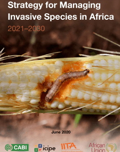 IITA releases 10-year strategy for managing invasive species in Africa