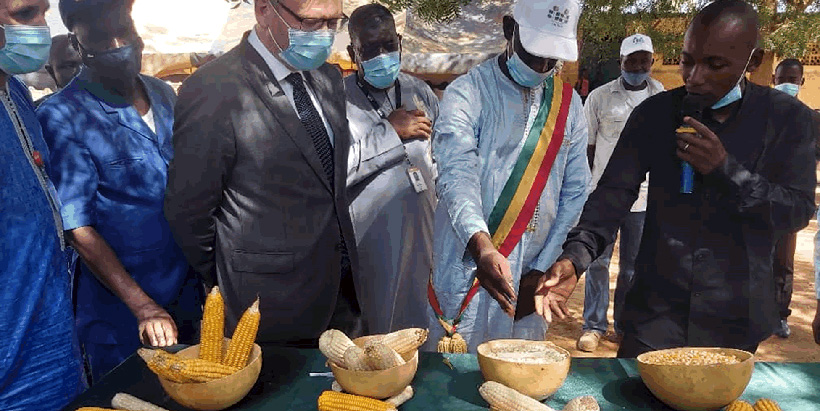 Norwegian Ambassador Vegar Brynildsen and the Mayor of Mafeya looking at different varieties produced by Farmers through the CSAT project in the region of Koulikoro.