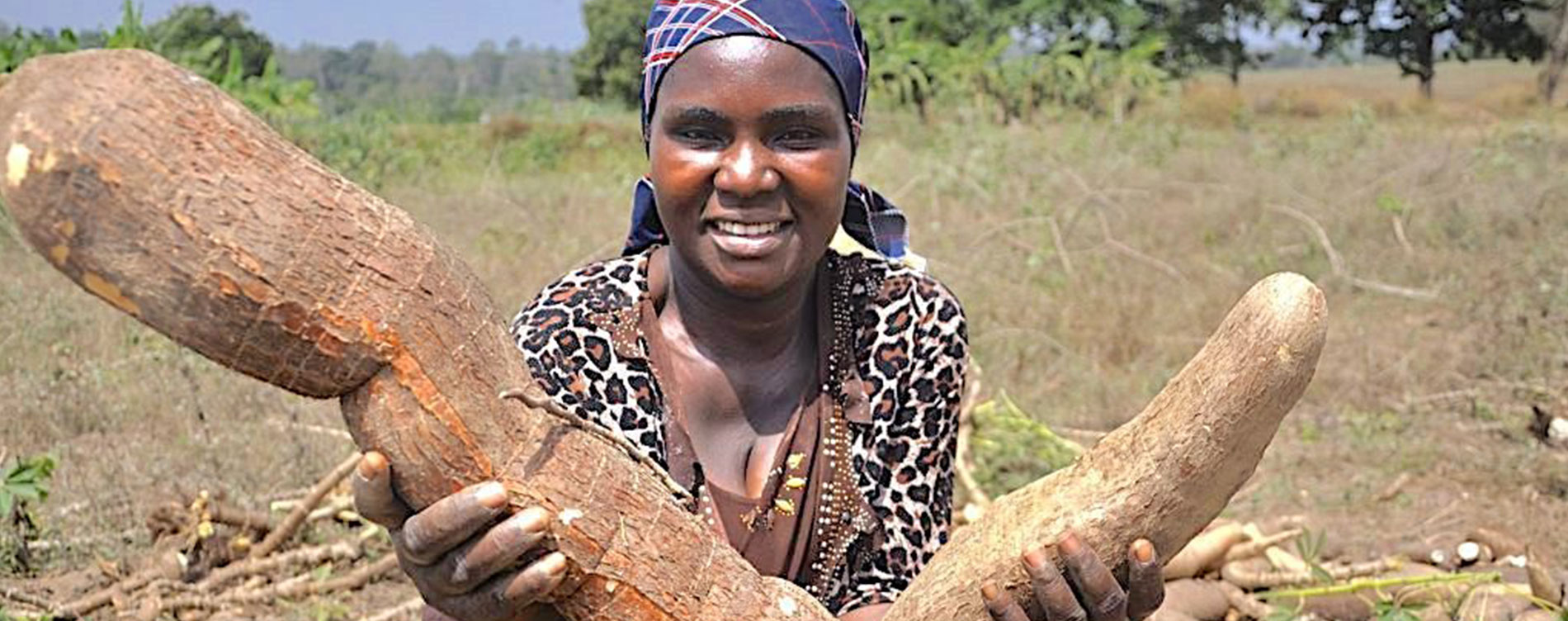 Gift supports Cornell’s Tanzanian cassava efforts