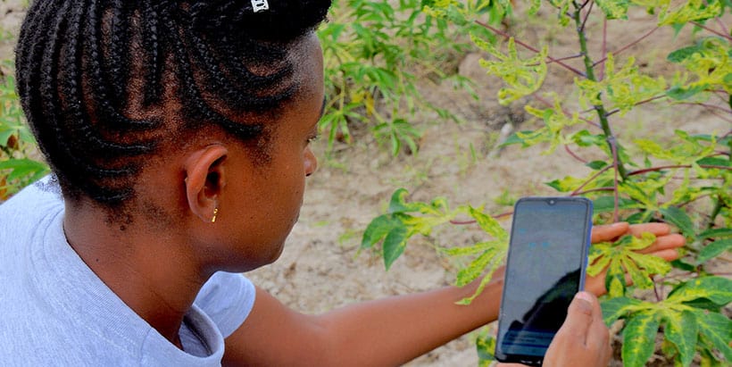 PlantVillage NuruAI app among key innovations supporting poor farmers to cope with climate change