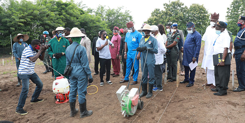 Africa needs empowered youth to keep pace with its population explosion—Youth champions
