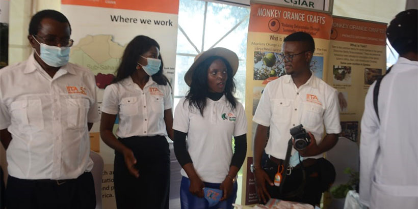 Zambian President commends IITA’s youth-in-ag initiative
