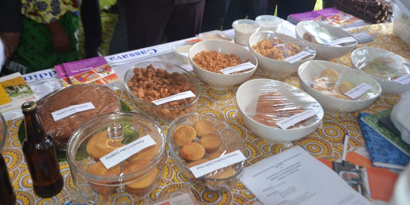 Zambian President commends IITA’s youth-in-ag initiative