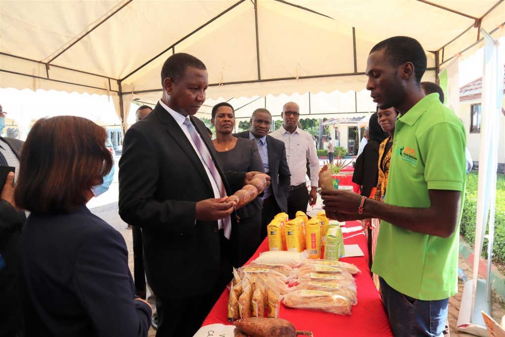 Former IITA agripreneur, Edwin Ndibalema, explaining to the Minister the cassava root waxing technology.