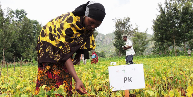 Research finds no basis for farmers’ negative perception of the quality of fertilizers in Tanzania