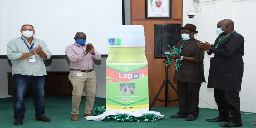 Bayer develops herbicides for cassava to tackle weeds and raise yields