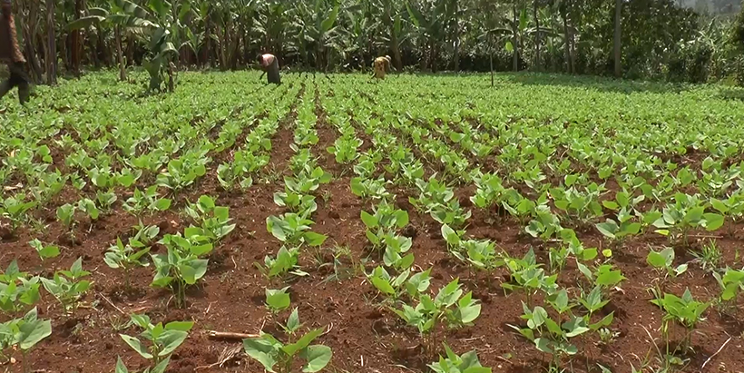 Using CSI technologies for food security and rural livelihoods