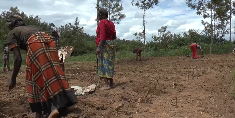  Using CSI technologies for food security and rural livelihoods