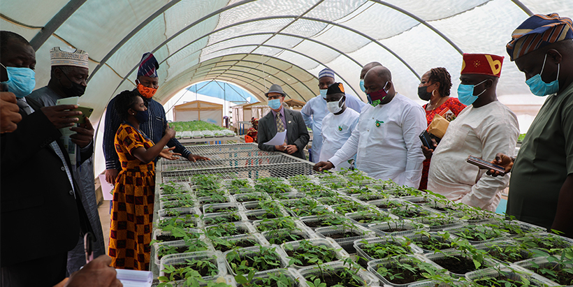 IITA to partner with the Nigerian Government on good agricultural policies