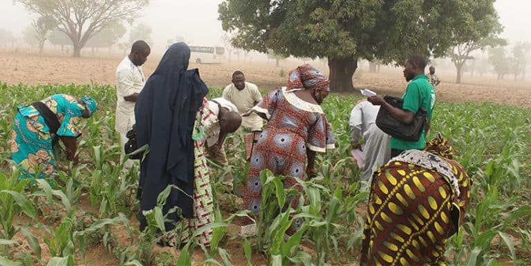 Gambar terkait Northern governors condemn killing of 12 Kaduna travellers (dari Bing)