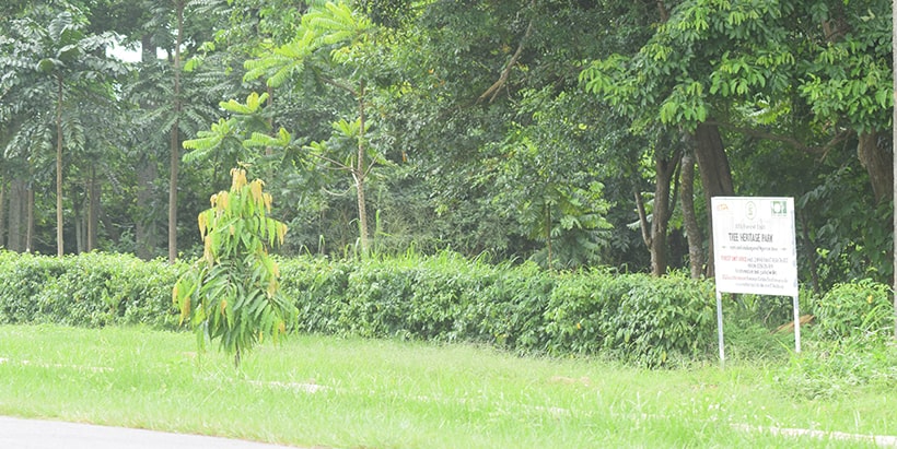 IITA Tree Heritage Park awarded the 500th Level II accreditation by ARBNET