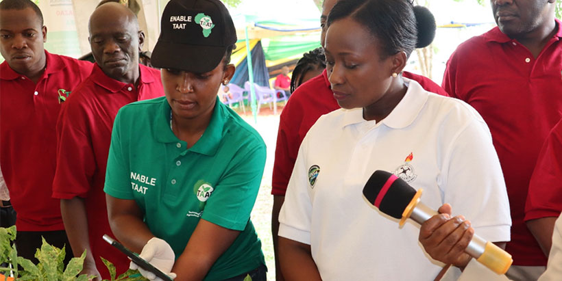 IITA Research Technician Veneranda Ngazi (left) demonstrating the Plant Nuru app with a smart phone to Guest of Honor, Sarah Msafiri. Photo: IITA/Hadi Rashid