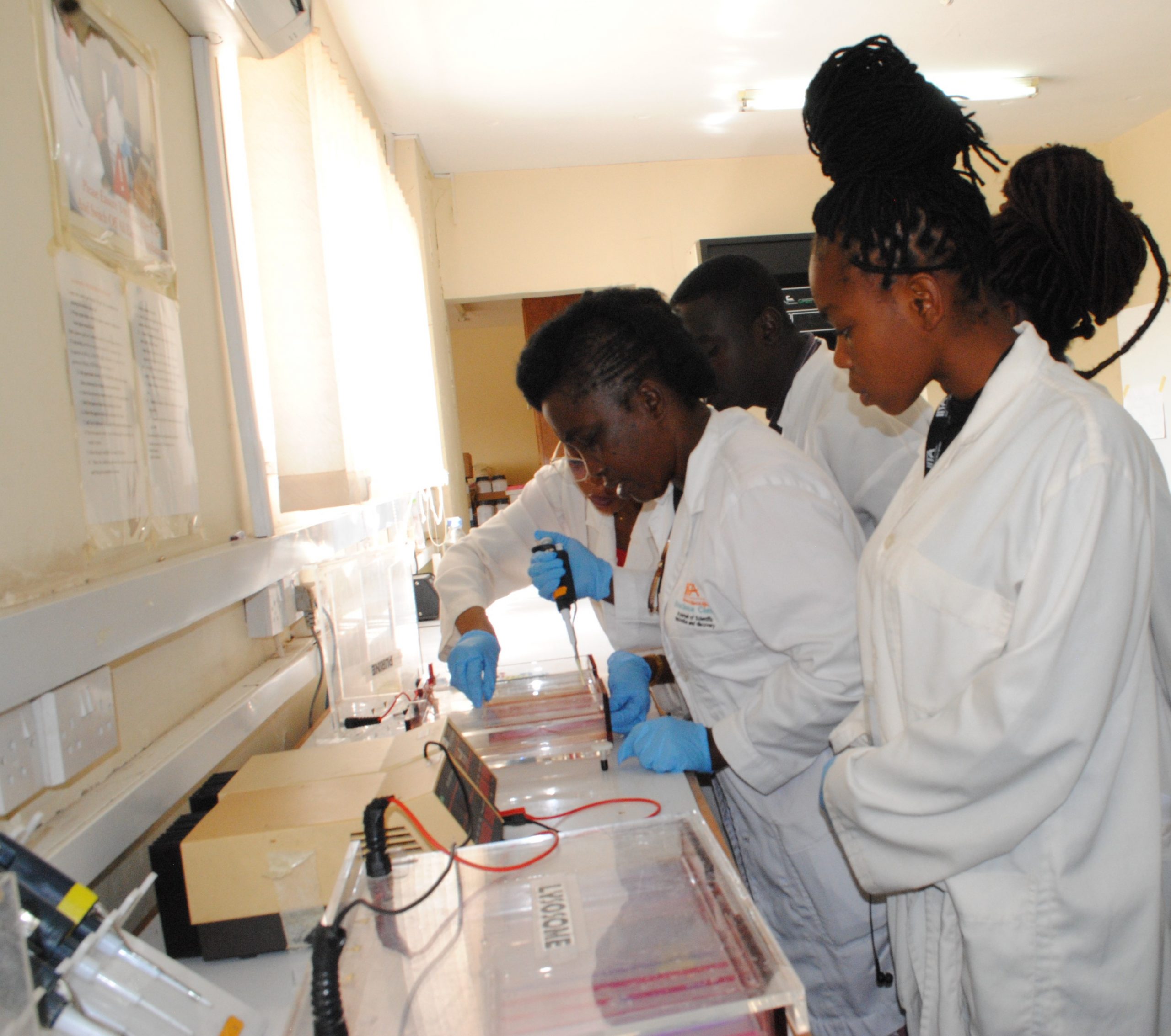 Participants carrying out Agarose Gel Electrophoresis during the practical session.