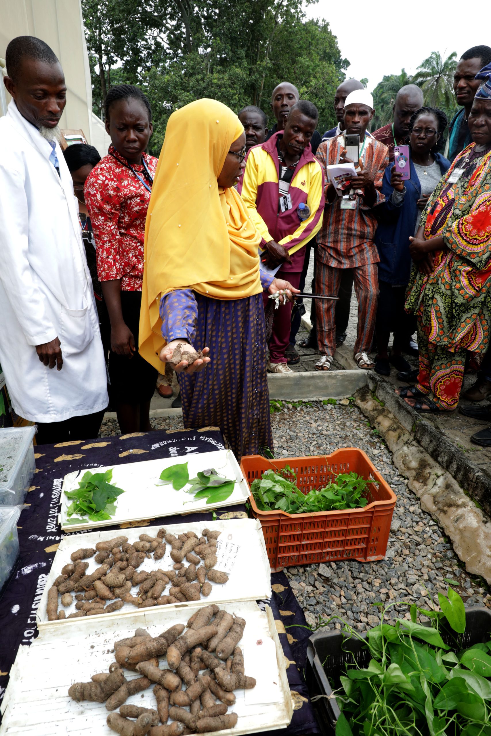The IITA PROSSIVA team with the farmers.
