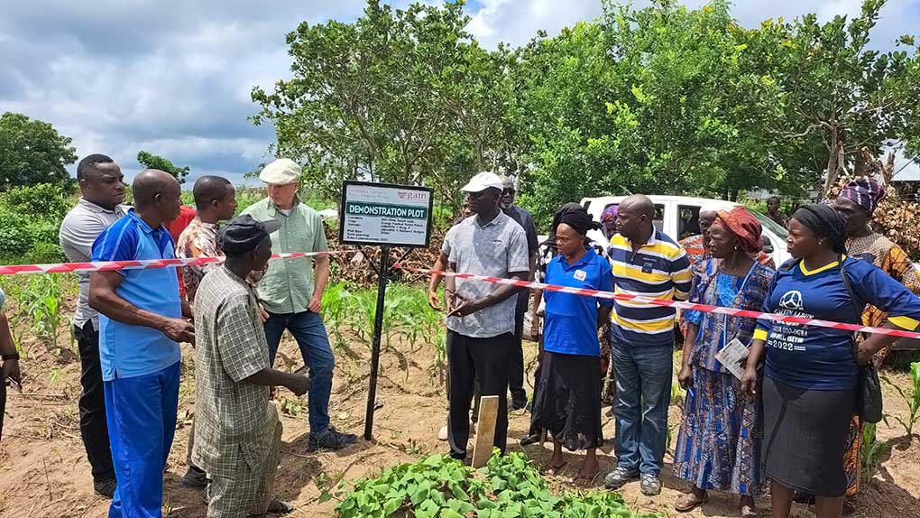 GAIN Applauds IITA For Improved Farmer Knowledge Of Orange fleshed gain-applauds-iita-for-improved-farmer-knowledge-of-orange-fleshed