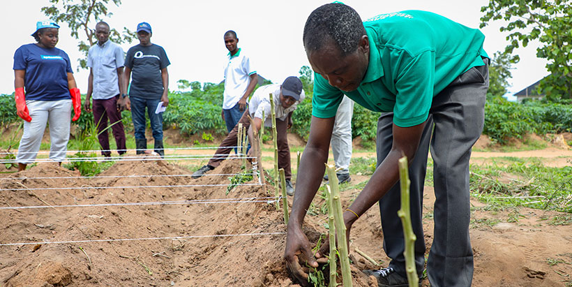 Facilitator demonstrating how to setup the OFSP farm.