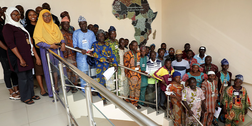 The IITA PROSSIVA team with the farmers.