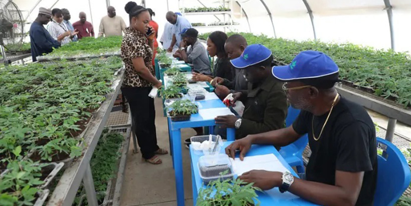 Angola delegates during the SAH training session