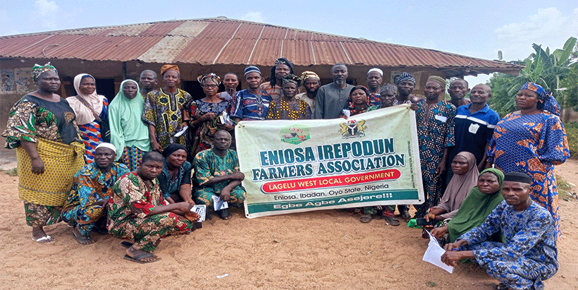 Members of the Eniosa Irepodun Farmers Association. 