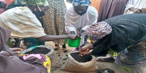 Women in Kwaya-Kusar LGA, Borno State practising how to make organic manure from Animal dungs.